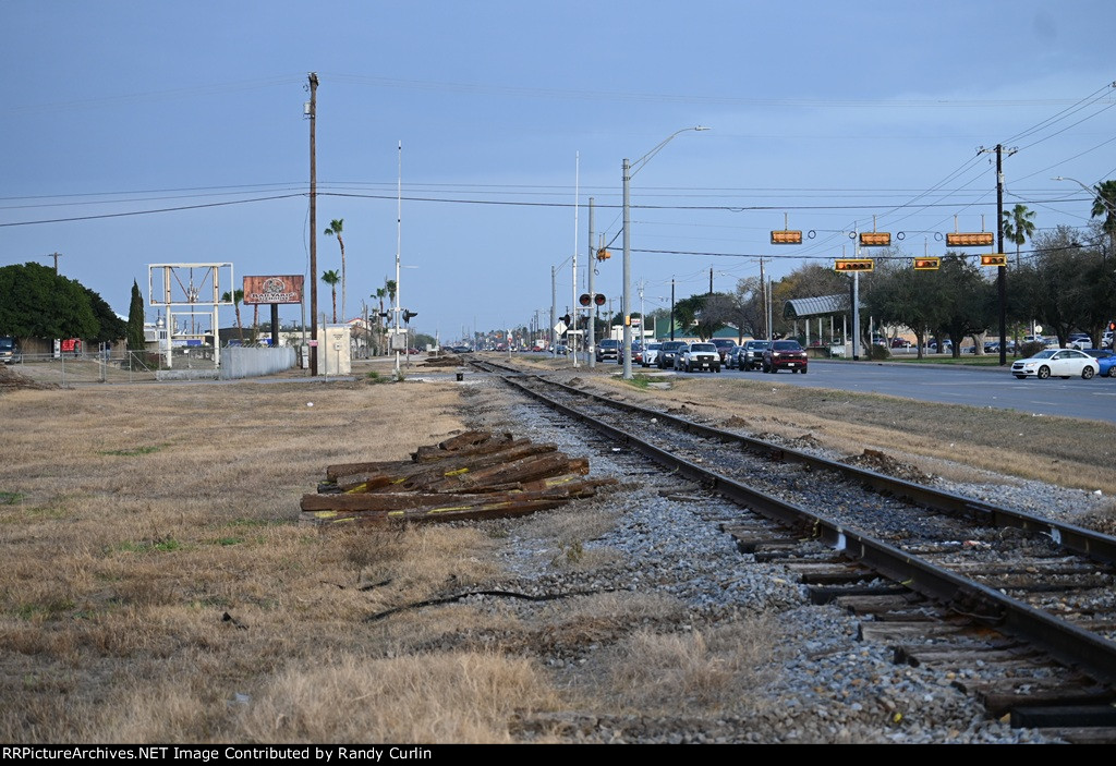 Alamo TX